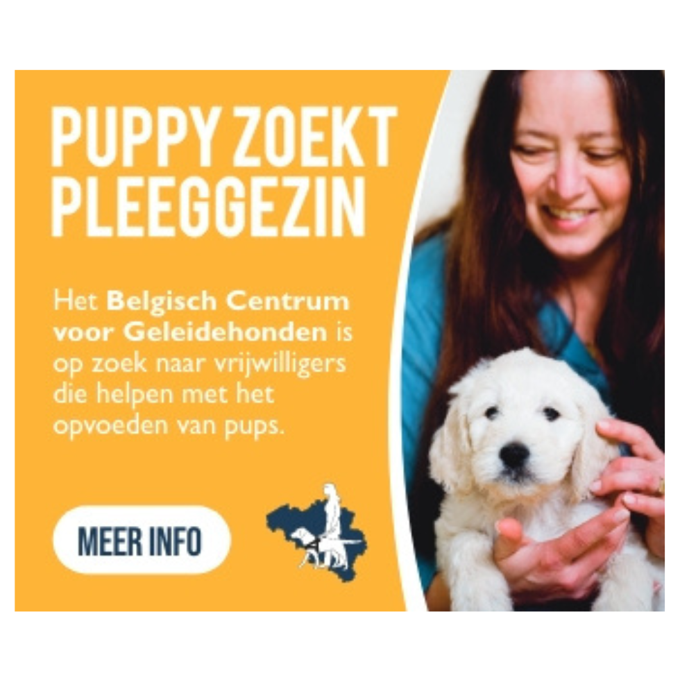 Belgisch Centrum Voor Geleidehonden